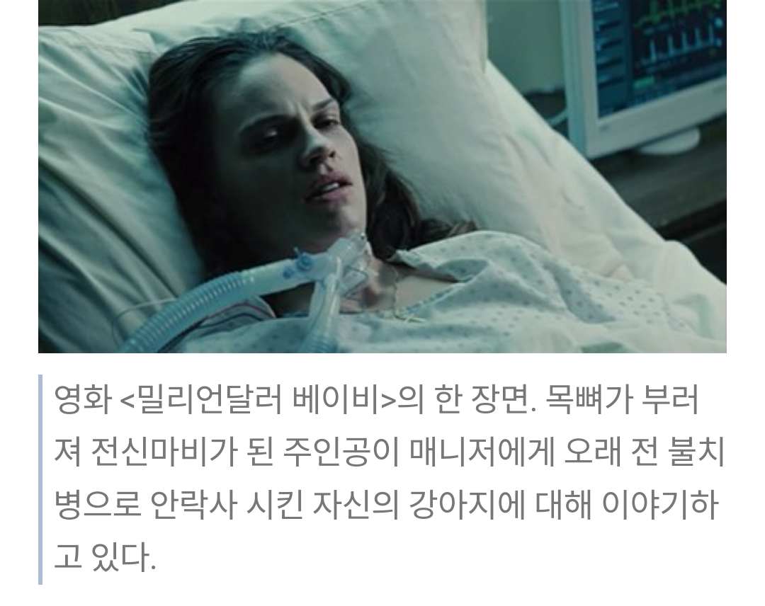 1000047131.jpg